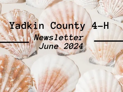 Newsletter Cover-June 24
