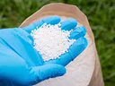 Gloved hand holding nitrogen fertilizer