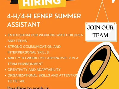 We Are Hiring poster for 4-H/EFNEP summer assistant; deadline 19 May 2024