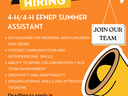 We Are Hiring poster for 4-H/EFNEP summer assistant; deadline 19 May 2024