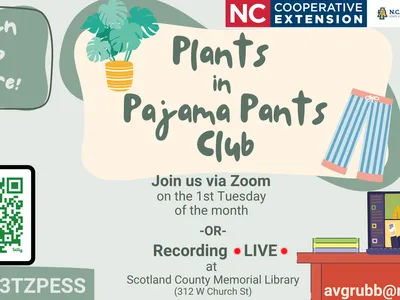 Plants in Pajama Pants Club poster — Join via Zoom; bit.ly/3TZPESS; avgrubb@ncsu.edu