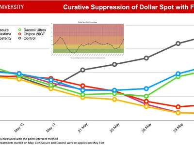 The chart titled "Curative Suppression of Dollar Spot with Fungicides" from NC State University displays the percentage of dollar spot per plot over time, from May 13 to May 31. It compares six treatments: Secure, Maxima, Posterity, Daconil Ultrex, Chipco