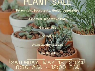 plants