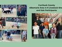 Contestants and animals from the livestock show