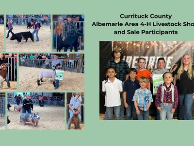 Contestants and animals from the livestock show