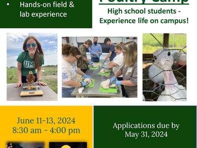 Poultry camp flyer. Details on webpage.