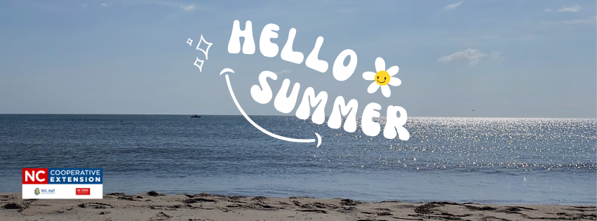 Beach shoreline and calm ocean with sparkling water; overlaid text "HELLO SUMMER" and NC Cooperative Extension logo