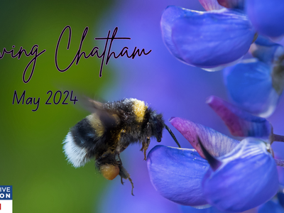 Growing Chatham 2024