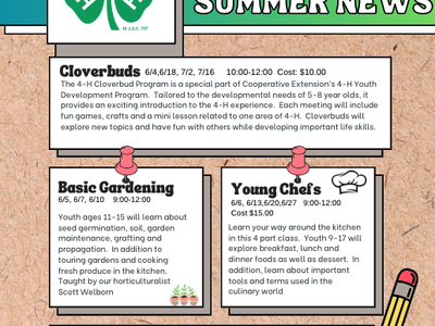 Polk County 4‑H Summer News flyer with 4‑leaf clover and program listings: Cloverbuds, Gardening, Young Chefs, Sewing