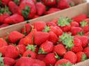 Strawberries