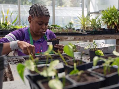 Therapeutic horticulture gardening benefits NC State Extension New Hanover County
