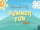 Edgecombe 4-H "Summer Fun 2024" text over stylized sun, rolling green hills, and 4-H clover