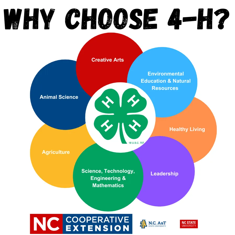 4-H provides programs in many content areas