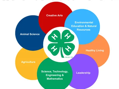 4-H provides programs in many content areas