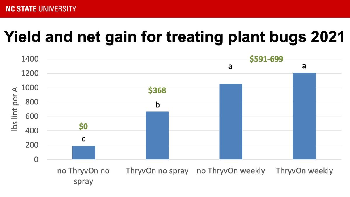 Yields were statistically the same and highest in both ThryvOn and non-Thryvon cotton sprayed weekly, with net gain ranging from $591-699 per acre. They were lower in unpsrayed ThryvOn, with net gain averaging $368 per acre. Finally, they were lowest in non-ThryvOn cotton that was unsprayed, with net profits averaging $0 per acre.