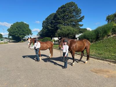 Two children in helmets leading two brown horses along a paved road near stables