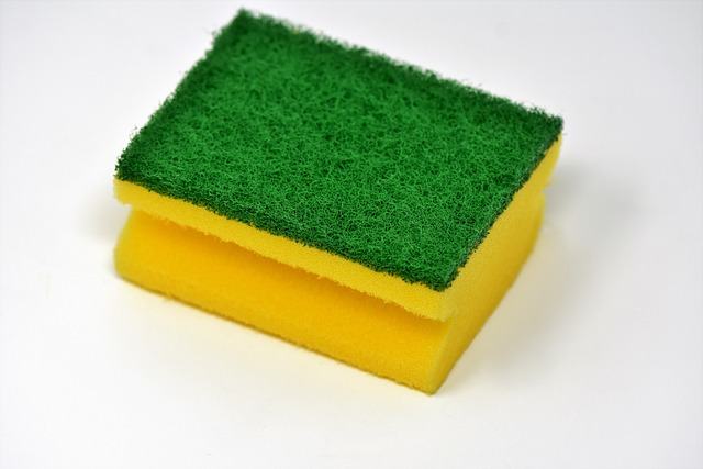 green and yellow sponge