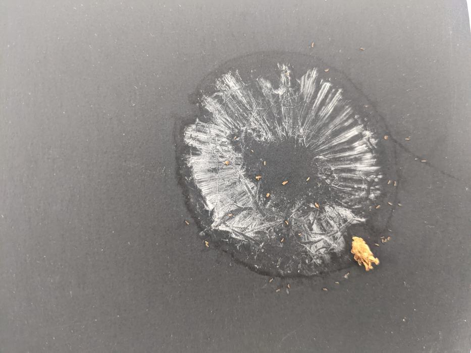 Circular wet stain with radial white smears and a small brown crumb on a dark surface