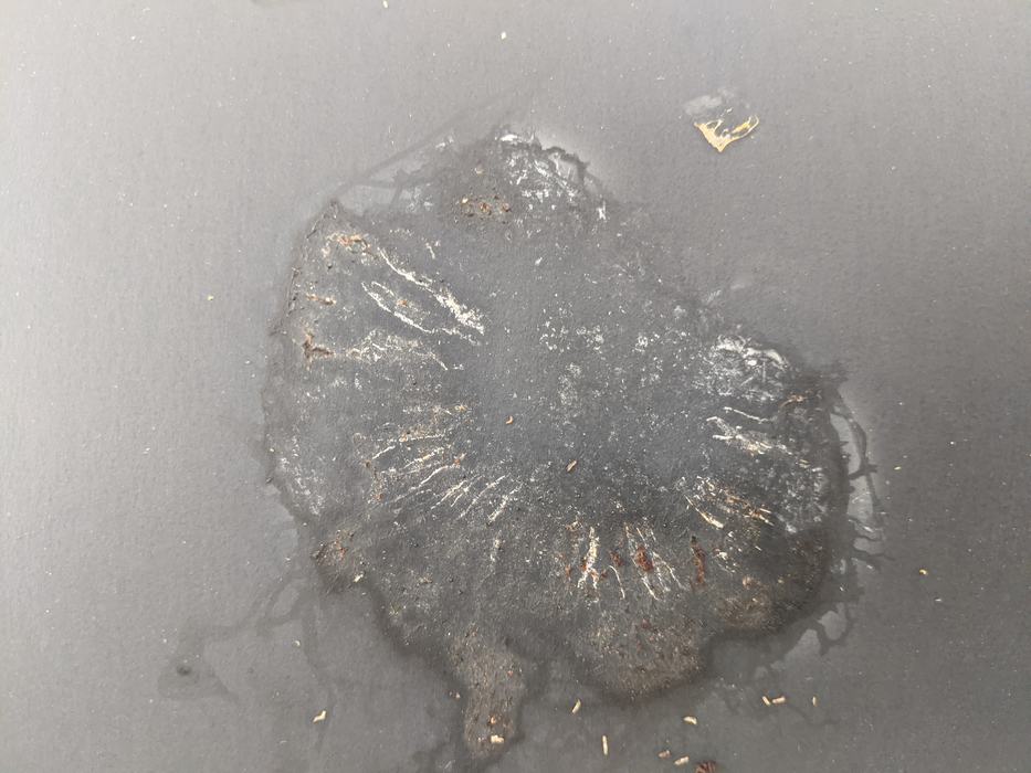 Dark round oil stain with white streaks and small debris on gray surface