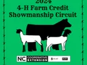 cow, sheep, goat with a lime green background