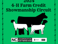 cow, sheep, goat with a lime green background