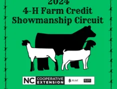 cow, sheep, goat with a lime green background