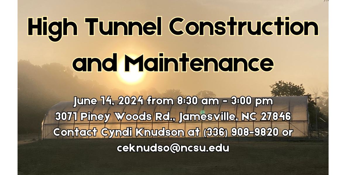 High tunnel with fog and sun