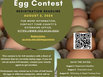 2024 Egg-cellent Egg Contest Info