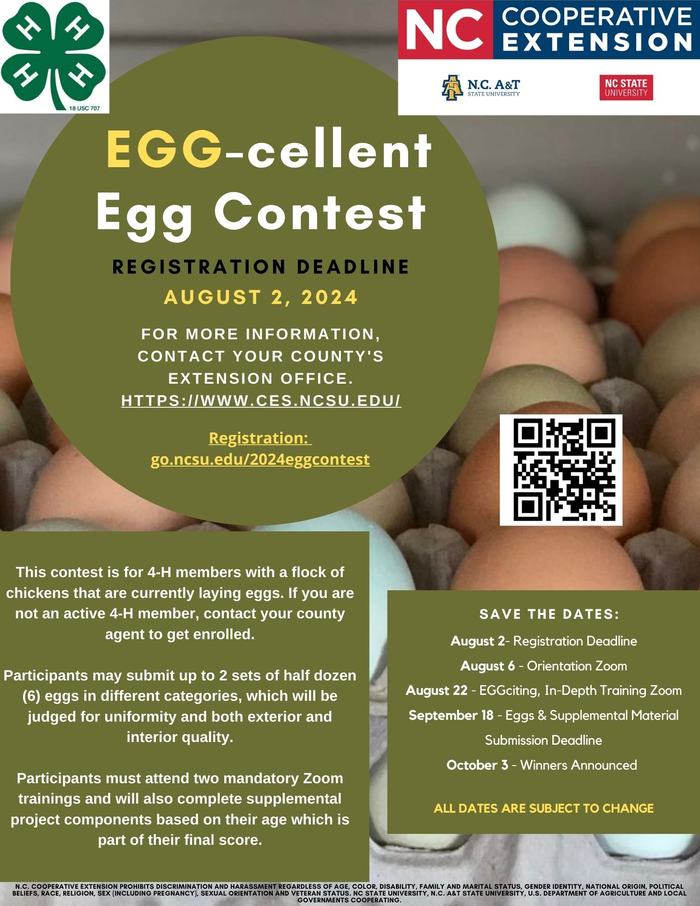 2024 Egg-cellent Egg Promotional Flyer