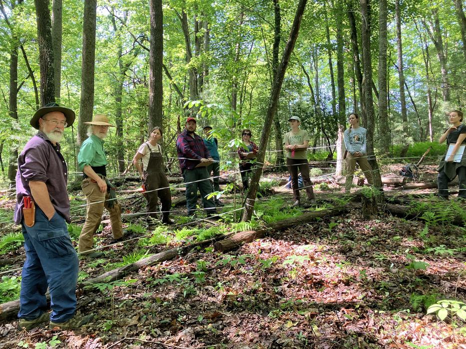 group of volunteers in the woods in the spring