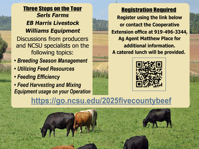 2025 5-County Beef Tour flyer, with date, time, location and registration info. image of cattle and field landscape