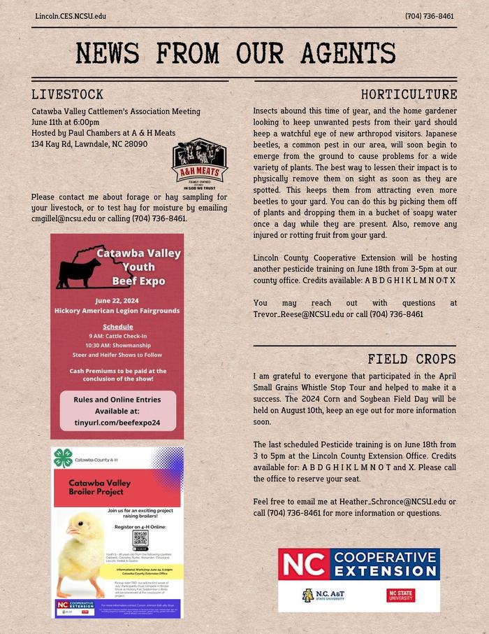 Page 3 from June Newsletter