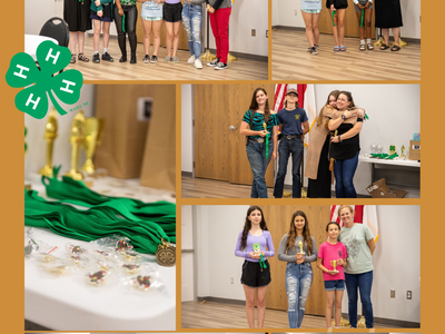 4-H Awards Night collage showing youth receiving medals, trophies, and group photos