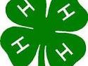 4-H Clover