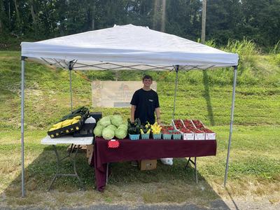 Young vendor under canopy selling cabbages, yellow squash, zucchini and baskets of strawberries