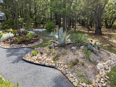 Rock-bordered garden beds with succulents and mixed flowers beside a wooded path