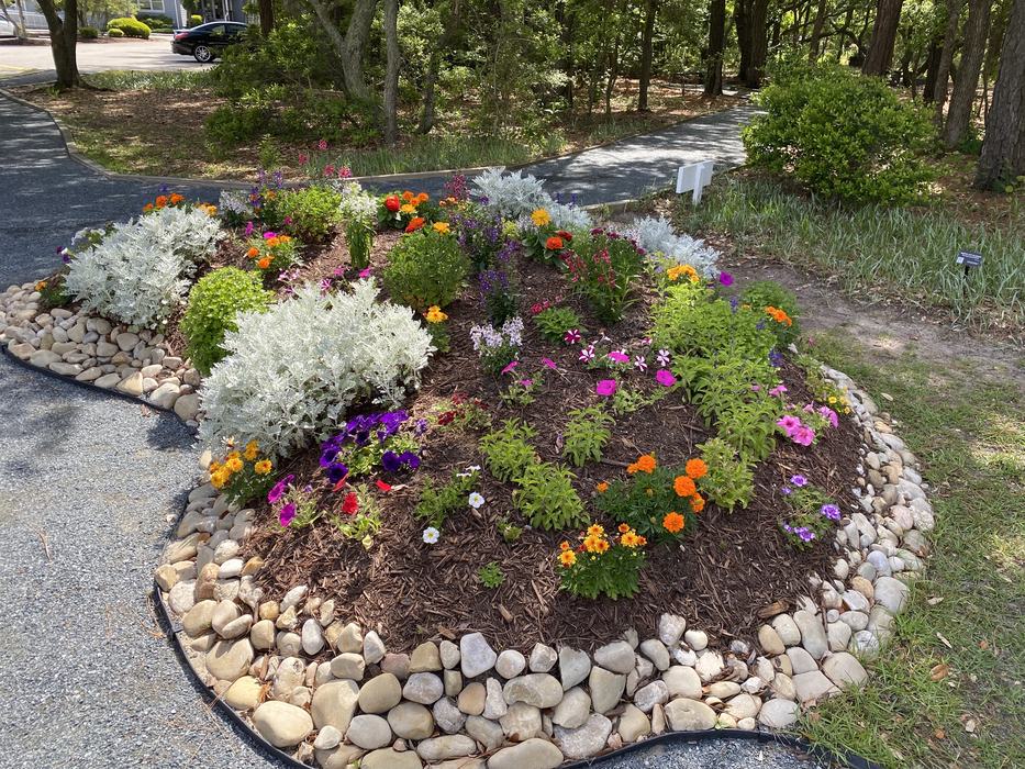 Mulched circular flower bed with mixed colorful annuals edged by river rocks beside paved paths