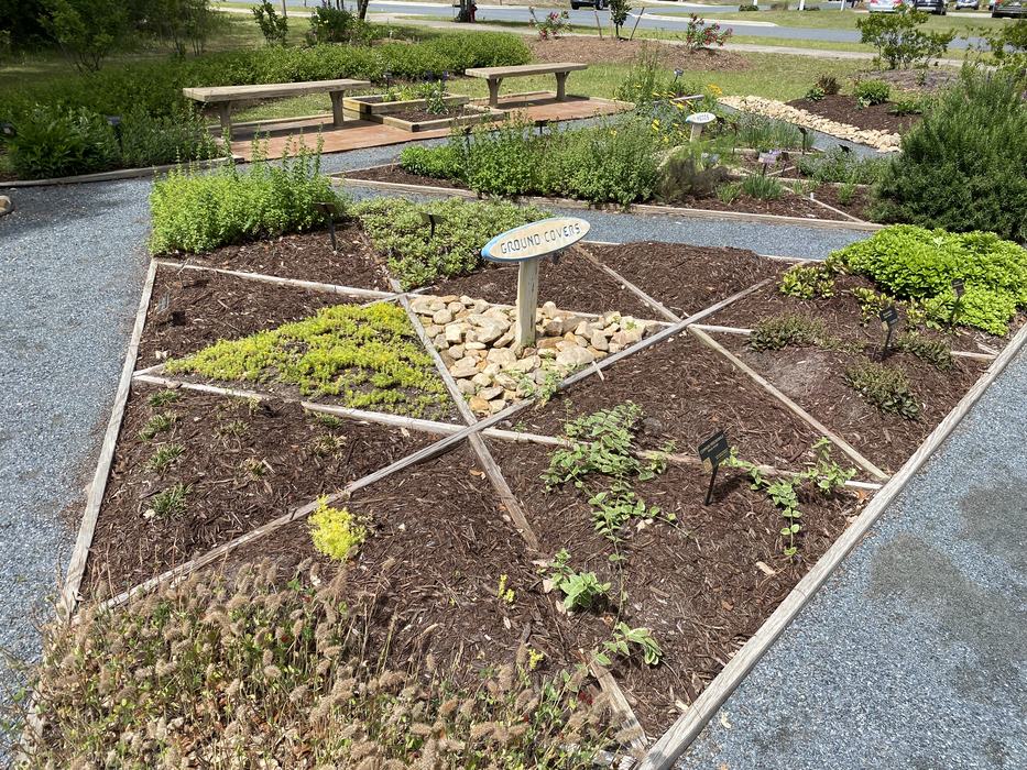 Triangular mulched garden beds with small plants and a sign reading "GROUND COVERS"