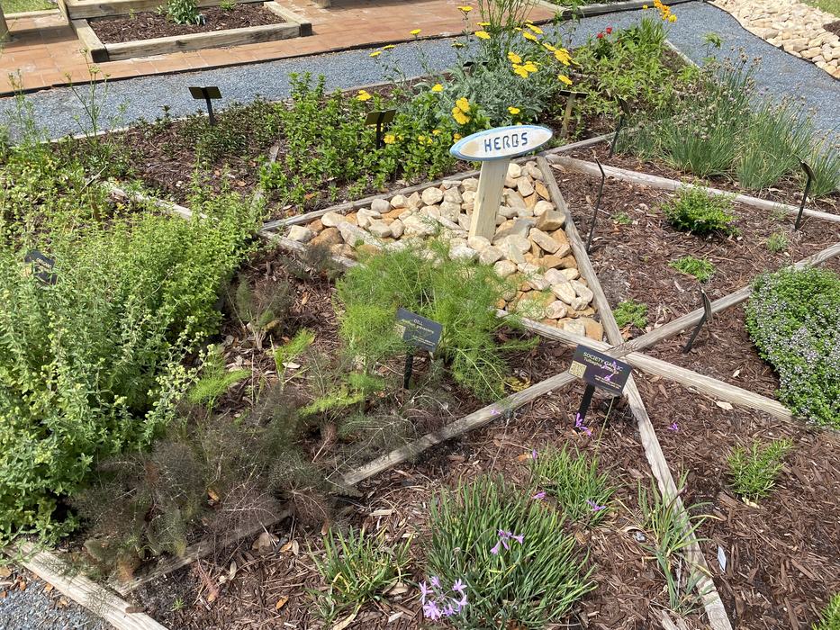 Herb garden bed with wooden sign reading "HERBS" and small plant labels.