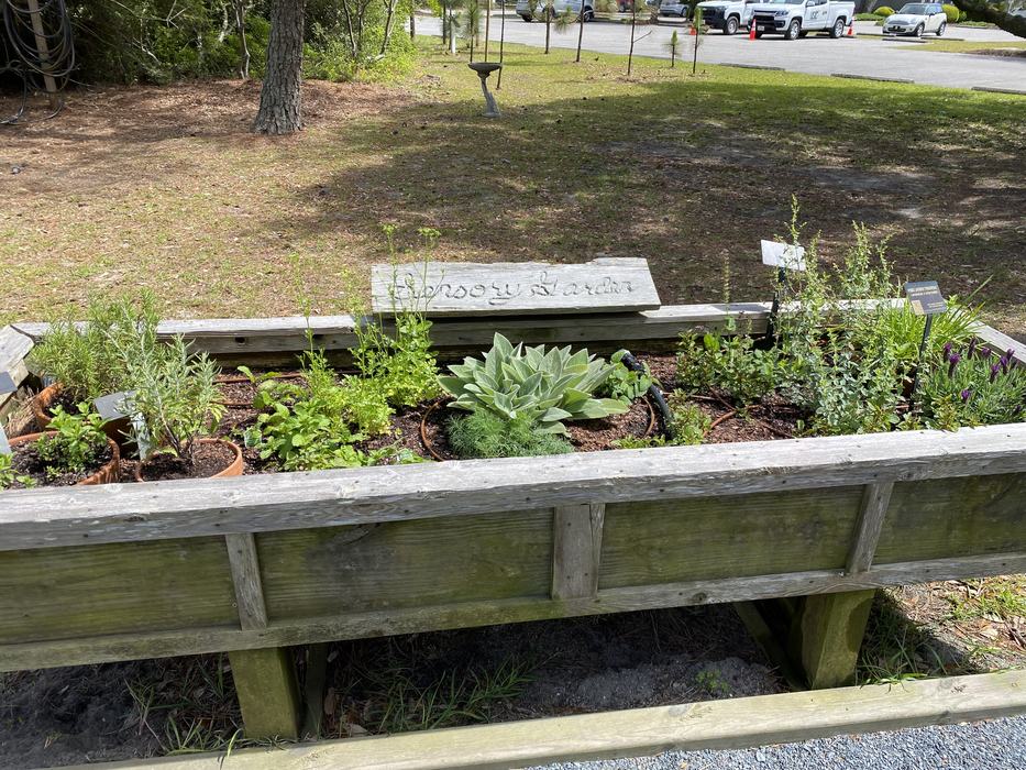 Raised wooden planter bed with herbs and succulents, sign reading "Sensory Garden".
