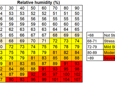 Cattle THI Graph Heat Strress