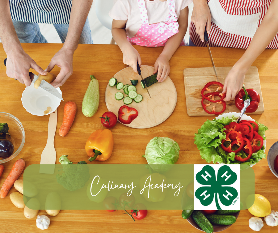 People chopping vegetables on table; text "Culinary Academy" with 4‑H clover logo