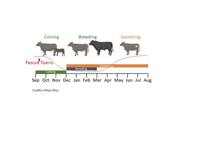 Breeding season msgnt