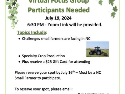 flier with focus group information