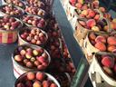 rows of peaches in baskets for sale