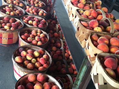 rows of peaches in baskets for sale