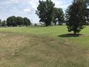 Drought turf