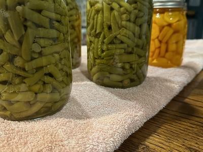Jars of pressure canned green beans and carrots.
