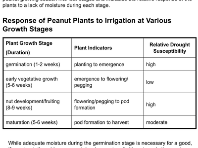 Peanut Irrigation notes, a screenshot from the linked publication.