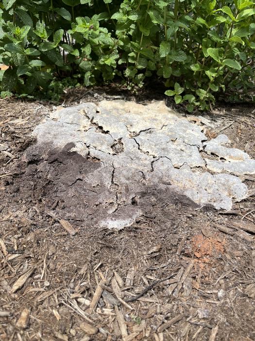 crumbling dry beige blob
